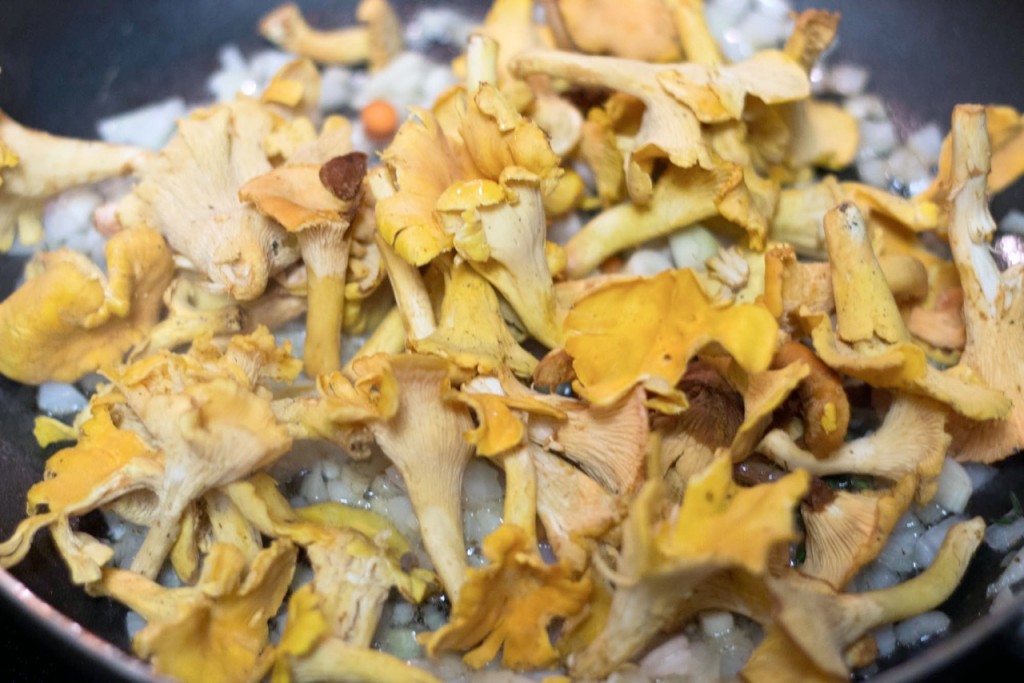 Wonderful Wild Chanterelles