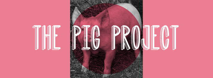 The Pig Project