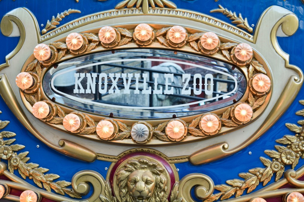 Party With The Newlyweds!