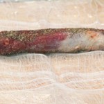 Lonzino 02-08-14-1752