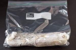 Lonzino 02-08-14-1831