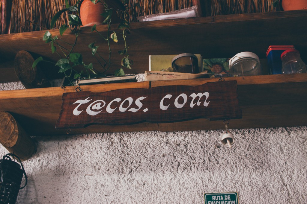 OceanCoralpeurtomorelos-10