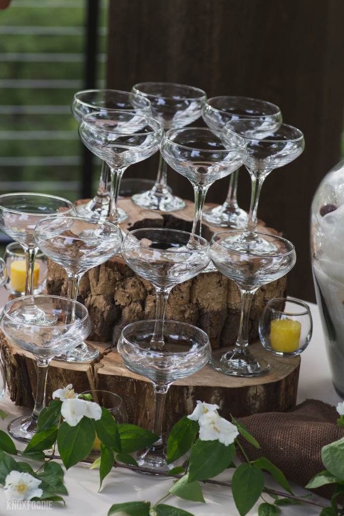 Cocktail Hour at Dancing Bear Lodge, Townsend, TN