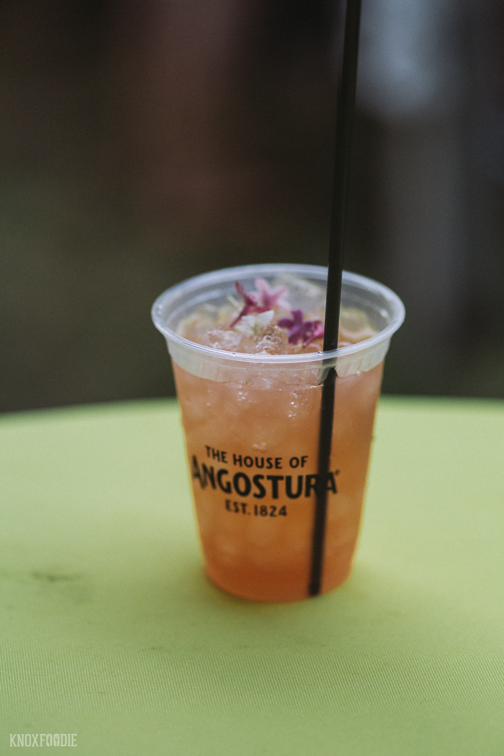 Music City Food & Wine 2016, Nashville