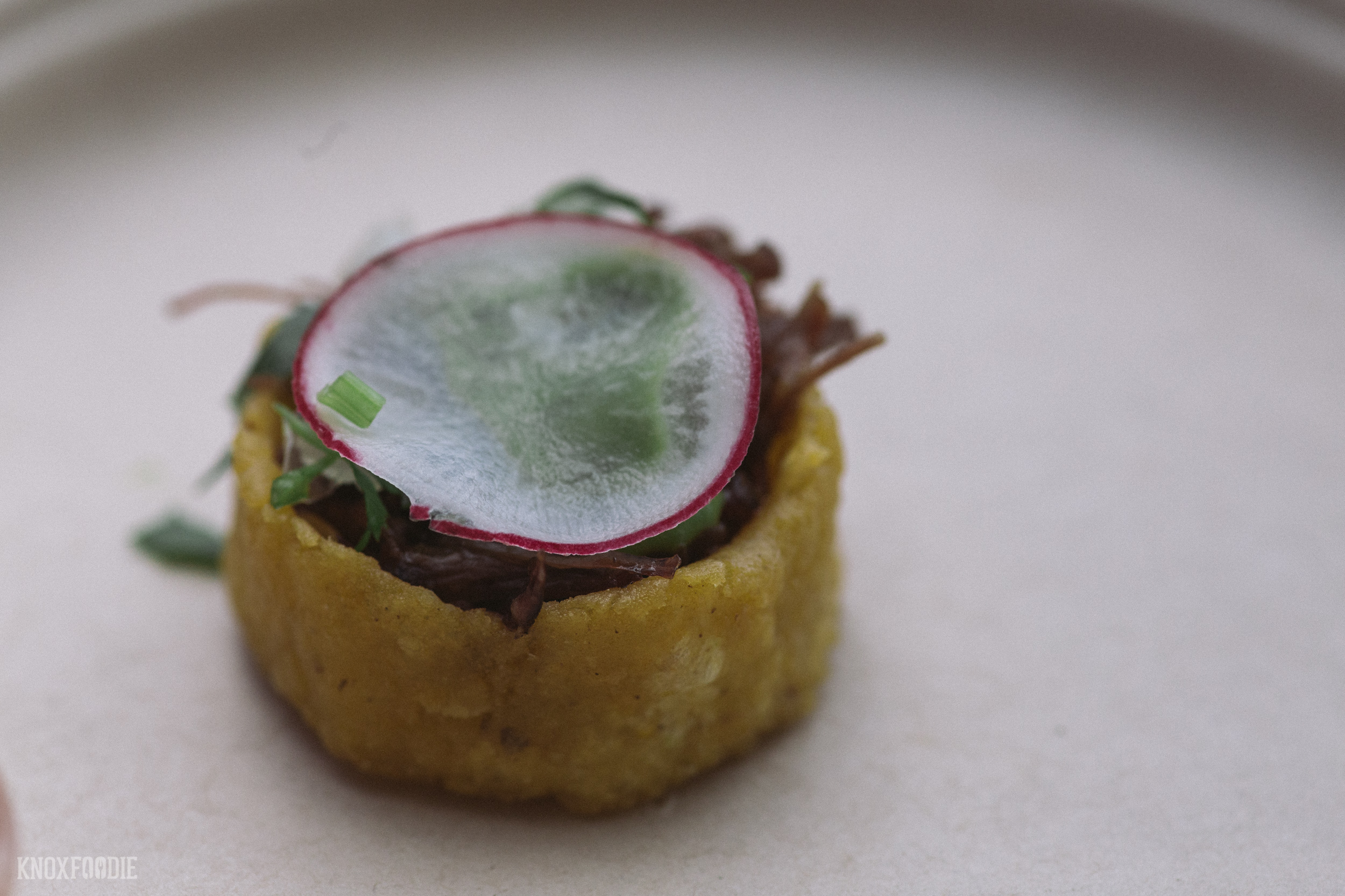 Music City Food & Wine 2016, Nashville