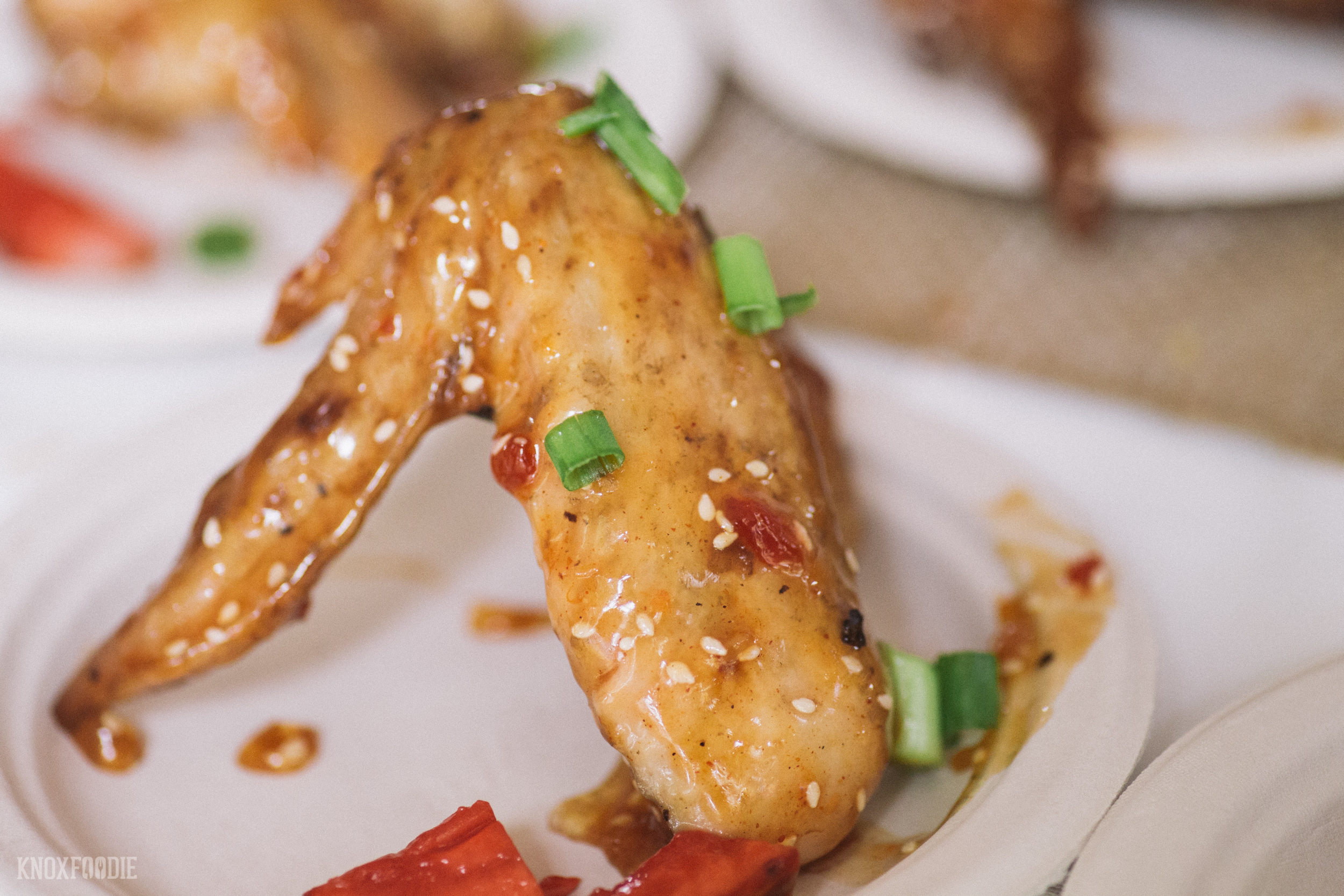 Music City Food & Wine 2016, Nashville